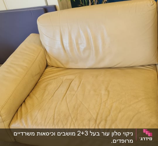 ספה בצבע בז